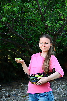 포토 JPG 해외이미지 나무 여자 음식 농업 과일 자연 주택 건강 한명 사람 성인 야외 초록색 농장 정원 모임 수확 가을 시골 신선 업무 농부 과수원 수집 자두 밭일 해외202004 해외포토 식물 직업 1 계절 산업 컬러 건물 작업 생태계 파일형식 이미지허브