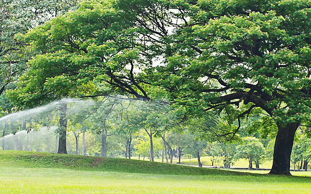포토 JPG 해외이미지 나무 식물 공원 꽃 백그라운드 잎 꽃무늬 자연 하늘 그림자 풍경 사람없음 야외 목재 초록색 빛 환경 정원 나뭇가지 신선 물주기 원예 질감 내추럴 스프링쿨러 해외202004 해외포토 공공시설 컬러 무늬 재료 모션 취미 생태계 파일형식 이미지허브