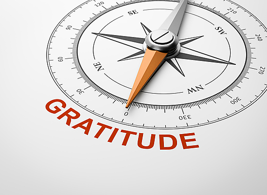 포토 JPG 해외이미지 백그라운드 컨셉 오렌지 일러스트 텍스트 바람 사람없음 단어 장미 3D 금속 흰색 가리킴 목표 나침반 방향 흰배경 감사 만들기 네비게이션 감탄 오리엔테이션 해외202004 해외포토 자연요소 문자 꽃 감정 컬러 과일 모션 재질 날씨 손짓 디지털합성 파일형식 이미지허브