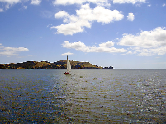포토 JPG 해외이미지 구름 파도 바다 섬 자연 하늘 항해 풍경 사람없음 물 침묵 만 보트 뉴질랜드 내추럴 해외202004 해외포토 자연요소 배_교통 소리 오세아니아 생태계 파일형식 이미지허브
