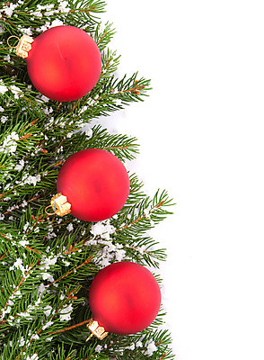 포토 JPG 해외이미지 나무 식물 백그라운드 크리스마스 겨울 자연 휴가 새해 프레임 사람없음 장식 초록색 축제 추위 흰색 나뭇가지 축하 숲 정사각형 뼈대 상록수 침엽수 전나무 원뿔 내추럴 고립 구성 가문비나무 해외202004 해외포토 도형 계절 기념일 컬러 컨셉 생태계 파일형식 이미지허브