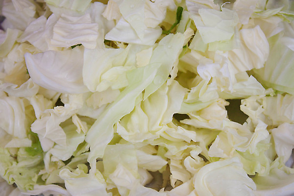 포토 JPG 해외이미지 식물 음식 조각 백그라운드 잎 패턴 농업 채소 재료 자연 추상 사람없음 가로 초록색 농작물 샐러드 신선 자르기 유기농 질감 양배추 채식주의자 해외202004 해외포토 웰빙 산업 컬러 무늬 모션 생태계 채식 파일형식 이미지허브