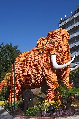 포토 JPG 해외이미지 전통 문화 오렌지 과일 미술 사람없음 장식 여행객 정원 축제 프랑스 연도 레몬 방문 애니메이션 국회 민화 해외202004 해외포토 유럽 문화예술 사람 그림 파일형식 이미지허브