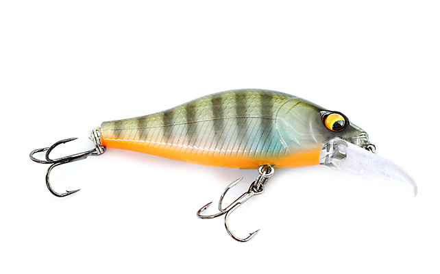 포토 JPG 해외이미지 스포츠 백그라운드 낚시 저울 취미 사람없음 옆모습 물 흰색 잡기 은색 작음 오브젝트 꼬리 지느러미 사냥꾼 고립 인공 많음 해외202004 해외포토 자연요소 직업 뷰포인트 컬러 컨셉 모션 레저 크기 파일형식 이미지허브