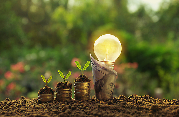 포토 JPG 해외이미지 나무 식물 디자인 백그라운드 컨셉 돈 비즈니스 전구 자연 유리 성공 아이디어 창조 사람없음 금융 경제 빛 쌓기 동전 힘 장비 에너지 성장 흰색 램프 시장 재산 황금 주식 투자 혁명 광 해외202004 해외포토 컬러 모션 재질 조명 생태계 파일형식 이미지허브