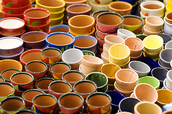 포토 JPG 해외이미지 꽃 화분 사람없음 상점 시장 네덜란드 질감 많음 해외202004 해외포토 식물 유럽 컨셉 파일형식 이미지허브