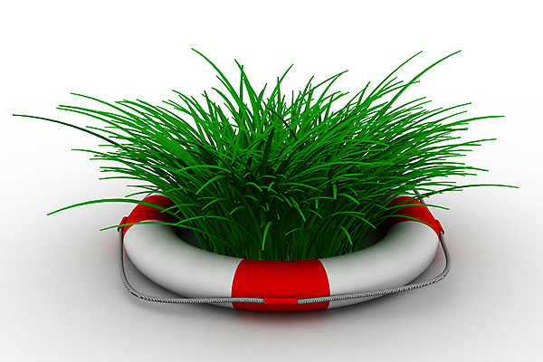 포토 JPG 해외이미지 식물 아이콘 길 밧줄 컨셉 잎 자연 경비 안전 잔디 사람없음 초록색 여름 환경 재활용 긴급 반지 원형 구출 보호 위험 심볼 흰배경 에코 유기농 생태계 sos 고립 구명용품 생태학 온실 재앙 헬프 해외202004 해외포토 도형 웰빙 계절 교육 줄 컬러 백그라운드 장신구 흰색 도움 안전장비 친환경 구조요청 파일형식 이미지허브