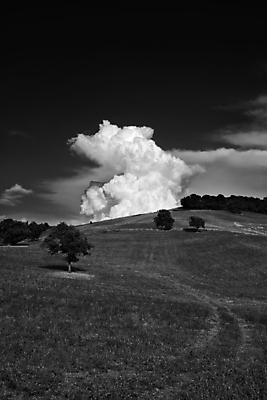 포토 JPG 해외이미지 나무 식물 구름 계절 유럽 여행 밭 농업 자연 하늘 휴가 휴식 거리 풍경 사람없음 야외 초록색 파란색 이탈리아 가을 시골 언덕 포도밭 장면 내추럴 토스카나 목가 해외202004 해외포토 자연요소 나라 산업 컬러 컨셉 생태계 파일형식 이미지허브