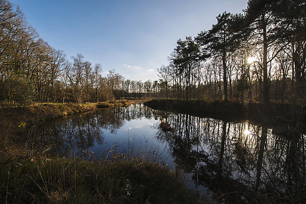 포토 JPG 해외이미지 나무 호수 자연 사람없음 물 태양 반사 보호구역 해외202004 해외포토 자연요소 식물 생태계 구역 파일형식 이미지허브