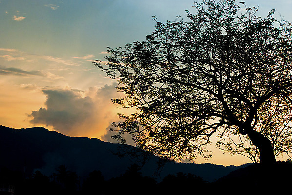 포토 JPG 해외이미지 나무 식물 배너 계절 공원 실루엣 백그라운드 잎 겨울 농업 일러스트 태국 자연 하늘 날씨 추상 산 파노라마 풍경 사람없음 목재 가로 초록색 여름 세트 라벨 정원 검은색 황혼 안개 성장 가을 나뭇가지 시골 소나무 신용카드 숲 큼 만화 땅 언덕 그림 원예 윤곽 장면 침엽수 전나무 자작나무 스카이라인 내추럴 고립 방법 북마크 삼나무 생태학 엘리먼트 옛날 이국적 가문비나무 수평선 디테일 해외202004 해외포토 공공시설 교육 산업 아시아 컬러 무늬 재료 프레임 촬영기법 취미 금융 일몰 크기 생태계 파일형식 이미지허브