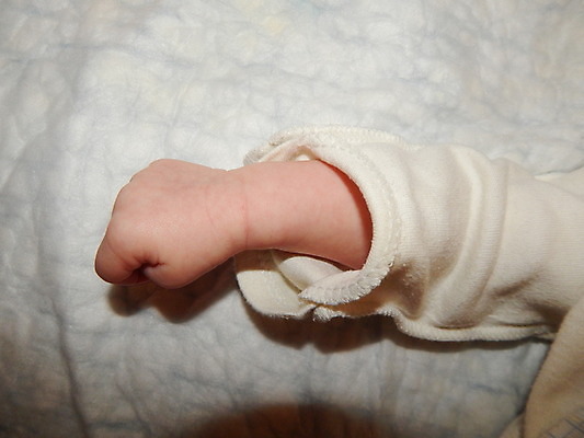 포토 JPG 해외이미지 백인 아들 어린이 2 손가락 가족 엄마 사랑 사람 성인 사람없음 흰색 잡기 아빠 보호 작음 돌봄 지원 해외202004 해외포토 서양인 손 감정 컬러 컨셉 관계 모션 크기 파일형식 이미지허브