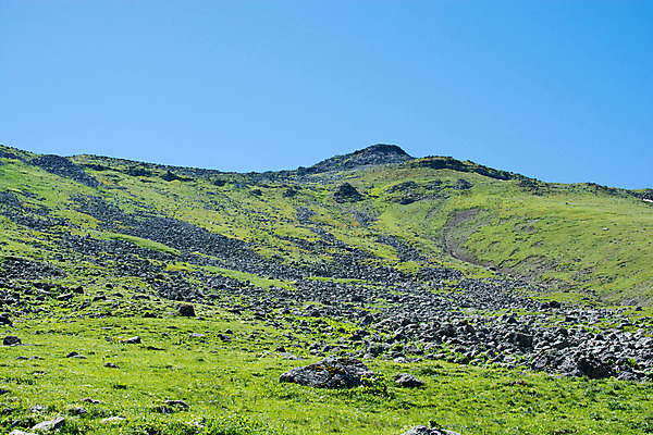 포토 JPG 해외이미지 구름 공원 꽃 여행 자국 자연 하늘 산 풍경 사람없음 야외 초록색 여름 파란색 컬러풀 봄 하이킹 개화 황무지 오솔길 고도 언덕 유기농 먼지 통과 내추럴 절정 해외202004 해외포토 자연요소 식물 웰빙 계절 공공시설 길 컬러 레저 생태계 파일형식 이미지허브