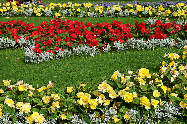 포토 JPG 해외이미지 모양 꽃 백그라운드 자연 사람없음 세트 정원 봄 화단 해외202004 해외포토 식물 계절 생태계 파일형식 이미지허브