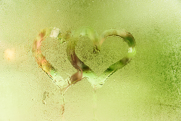 포토 JPG 해외이미지 백그라운드 패턴 창문 자연 유리 표면 추상 사람없음 초록색 물 파란색 거품 습기 젖음 물방울 신선 떨어짐 수증기 이슬 수분 빗방울 질감 내추럴 해외202004 해외포토 자연요소 컬러 컨셉 무늬 재질 비_날씨 생태계 파일형식 이미지허브