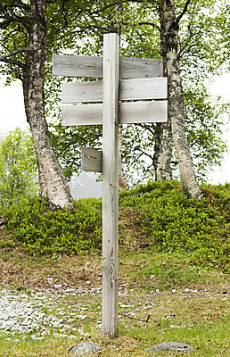 포토 JPG 해외이미지 도로 길 여행 자연 날씨 간판 광고판 매달리기 사람없음 목재 장식 초록색 공백 트래킹 방 정보 수확 표지판 거친 널 숲 방향 심볼 사인 질감 복고 도로표지판 자작나무 구식 그런지 방법 수목 옛날 많음 해외202004 해외포토 나무 컬러 컨셉 농업 재료 교통시설 모션 레저 알림판 생태계 판 파일형식 이미지허브