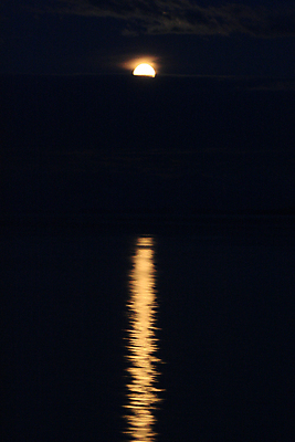 포토 JPG 해외이미지 실루엣 바다 여행 산 풍경 사람없음 세트 태양 반사 미국 일몰 도시 크루즈 알래스카 해외202004 해외포토 자연요소 북아메리카 배_교통 촬영기법 노을 파일형식 이미지허브