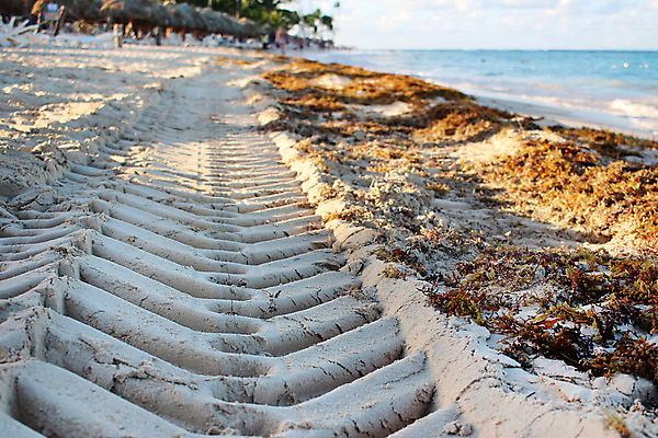 포토 JPG 해외이미지 모양 산업 도로 길 선 모래 여행 백그라운드 패턴 자국 자동차 자연 벽지 표시 전등 바닥 건조 사람없음 야외 여름 모래사장 태양 맑음 운전 사막 바퀴 황금 발자국 모래언덕 방향 질감 타이어 지역 트랙터 짐차 내추럴 땅바닥 선로 자취 각인 해외202004 해외포토 자연요소 계절 육상교통 바다 무늬 교통시설 모션 날씨 조명 농기계 언덕 생태계 특수차량 파일형식 이미지허브