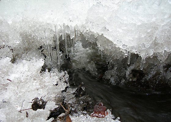 포토 JPG 해외이미지 계절 백그라운드 겨울 자연 불꽃 풍경 사람없음 야외 물 빛 강 컬러풀 글로벌 얼음 봄 젖음 흐름 추위 덮개 흰색 신선 개울 숲 시원함 크리스탈 북극 묘사 서리 장노출 고드름 내추럴 생태학 해외202004 해외포토 자연요소 교육 컬러 컨셉 불 촬영기법 뚜껑 광석 극지방 생태계 파일형식 이미지허브