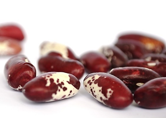 포토 JPG 해외이미지 식물 음식 다이어트 채소 콩 건조 요리 사람없음 컬러풀 채식주의자 탄수화물 해외202004 해외포토 컬러 곡류 건강 채식 파일형식 이미지허브