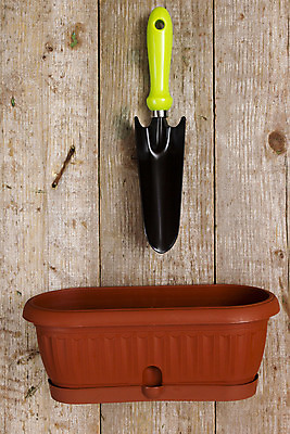 포토 JPG 해외이미지 식물 라이프스타일 컨셉 잎 농업 새로움 아이디어 사람없음 아웃포커스 정원 흙 봄 성장 잡기 보호 냄비 컨테이너 삽 환경보전 원예 먼지 돌봄 세련 해외202004 해외포토 계절 산업 모션 촬영기법 취미 생활 솥 사회이슈 파일형식 이미지허브