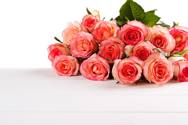 포토 JPG 해외이미지 식물 기념일 꽃잎 꽃 행복 분홍색 꽃다발 백그라운드 꽃무늬 자연 휴가 친절 기념 발렌타인데이 선물 사랑 사람없음 장식 장미 정원 놀람 공백 벚꽃 흰색 축하 인사 신용카드 개화 우아함 다발 묘사 오브젝트 엽서 아로마 해외202004 해외포토 감정 컬러 컨셉 무늬 데이이벤트 표정 이벤트 금융 예절 편지 생태계 파일형식 이미지허브