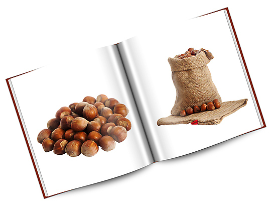 포토 JPG 해외이미지 디자인 음식 백그라운드 다이어트 과일 건강 사람없음 갈색 견과류 흰색 신선 그룹 유기농 질감 개암나무 고립 채식주의자 헤이즐넛 많음 개암 비건 해외202004 해외포토 나무 웰빙 열매 컬러 컨셉 채식 파일형식 이미지허브