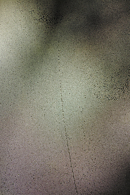 포토 JPG 해외이미지 백그라운드 겨울 패턴 창문 자연 유리 벽지 표면 아침 날씨 추상 실내 사람없음 내부 물 빛 햇빛 환경 맑음 습기 젖음 촉촉함 흐름 추위 가을 물방울 신선 투명 액체 떨어짐 수증기 이슬 수분 시원함 순수 질감 내추럴 효과 해외202004 해외포토 주간 자연요소 계절 컨셉 무늬 재질 태양 생태계 파일형식 이미지허브