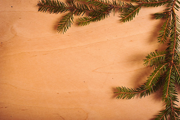 포토 JPG 해외이미지 나무 디자인 백그라운드 크리스마스 휴가 새로움 프레임 사람없음 목재 장식 초록색 우주 칠판 공백 수확 나뭇가지 소나무 신용카드 그룹 모서리 디자이너 심볼 복고 전나무 해외202004 해외포토 식물 직업 기념일 컬러 컨셉 농업 재료 금융 파일형식 이미지허브