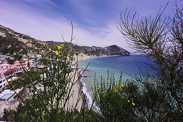 포토 JPG 해외이미지 나무 유럽 바다 섬 여행 요트 건축양식 자연 하늘 호텔 휴가 풍경 사람없음 야외 초록색 물 여름 컬러풀 태양 맑음 봄 이탈리아 도시 만 보트 성 역사 지중해 타운 아라곤 남쪽 나폴리 해외202004 해외포토 자연요소 식물 건축물 계절 건축 나라 컬러 배_교통 숙소 날씨 스페인 방향 생태계 파일형식 이미지허브