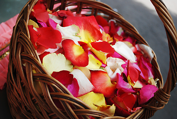 포토 JPG 해외이미지 꽃잎 꽃 결혼 사랑 사람없음 장미 바구니 향기 해외202004 해외포토 식물 감정 이벤트 냄새 파일형식 이미지허브