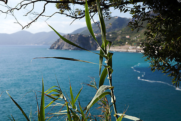 포토 JPG 해외이미지 공원 건축양식 휴가 안테나 국립공원 풍경 사람없음 컬러풀 마을 이탈리아 달력 5 타운 전국 해외202004 해외포토 공공시설 건축 유럽 컬러 통신 숫자 도시 파일형식 이미지허브
