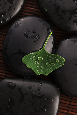 포토 JPG 해외이미지 식물 라이프스타일 웰빙 선 백그라운드 컨셉 잎 불교 자연 휴식 건강 동양인 사람없음 치료 초록색 물 약 반사 평화 일본 검은색 스파 화목 침묵 젖음 물방울 신선 떨어짐 순수 명상 동쪽 테라피 내추럴 돌봄 스타일 해외202004 해외포토 자연요소 아시아 종교 컬러 의학 모션 인종 생활 뷰티 소리 방향 생태계 파일형식 이미지허브