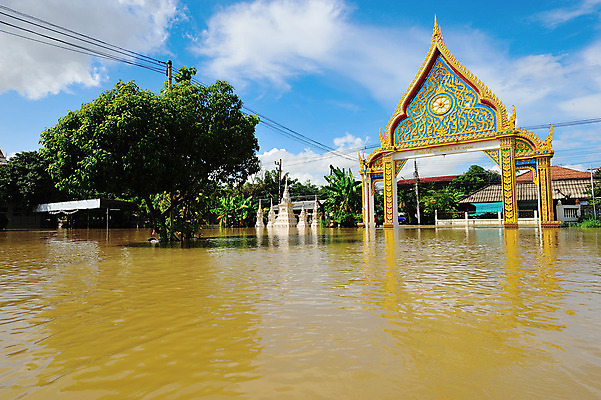 포토 JPG 해외이미지 건축물 전통문화 태국 거리 서기 사람없음 야외 물 손상 도시 사찰 홍수 시티라이프 해외202004 해외포토 자연요소 전통 라이프스타일 건축 아시아 문화 컨셉 종교건축 모션 자연재해 파일형식 이미지허브