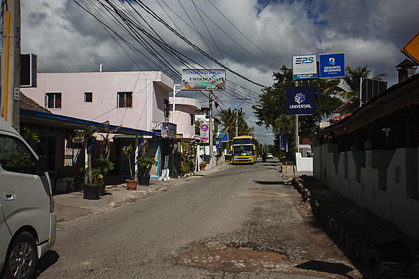 포토 JPG 해외이미지 나무 동물 모래 바다 섬 여행 자연 하늘 휴가 거리 손바닥 풍경 사람없음 건물 물 여름 파란색 태양 미국 일몰 만 보트 센터 산호 휴양지 다이빙 석호 공화국 도미니카공화국 스페인어 파라다이스 해외202004 해외포토 자연요소 식물 건축물 손 계절 나라 컬러 북아메리카 배_교통 노을 수영 장소 남아메리카 자포동물 생태계 수중스포츠 파일형식 이미지허브