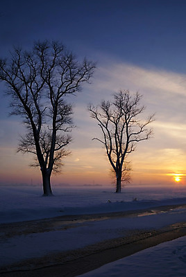 포토 JPG 해외이미지 나무 겨울 풍경 사람없음 울타리 일몰 네덜란드 대문 눈내림 해외202004 해외포토 식물 계절 유럽 눈_날씨 담장 문 노을 파일형식 이미지허브