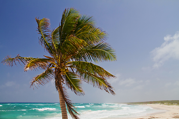 포토 JPG 해외이미지 계절 모래 파도 바다 섬 여행 우산 자연 바람 휴가 휴식 멕시코 풍경 사람없음 야외 물 여름 파란색 관광지 햇빛 서핑 고독 그늘 카리브해 열대기후 칸쿤 터키석 수평선 해외202004 해외포토 자연요소 감정 컬러 컨셉 북아메리카 날씨 태양 수상스포츠 보석 생태계 파일형식 이미지허브