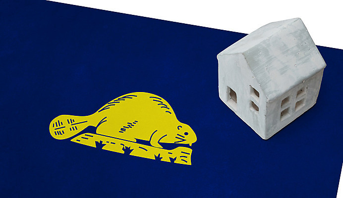 포토 JPG 해외이미지 모델 컨셉 건축양식 모션 지붕 부동산 추상 새로움 주택 사람없음 장난감 미국 미니어처 깃발 변화 시장 재산 클래식 구매 작음 시골집 투자 심플 문제 난민 대출 개발 매각 전국 주민 진짜 생존 이민 해외202004 해외포토 건축 이동 북아메리카 무늬 비즈니스 건물 금융 쇼핑 모형 크기 파일형식 이미지허브