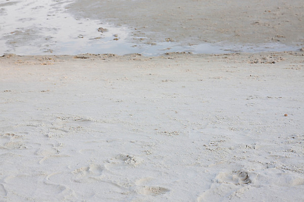 포토 JPG 해외이미지 모래 바다 섬 여행 자국 태국 하늘 휴가 사람없음 물 파란색 장난감 맑음 산책 흰색 축복 휴양지 주말 파라다이스 해외202004 해외포토 자연요소 아시아 컬러 컨셉 날씨 휴식 장소 파일형식 이미지허브