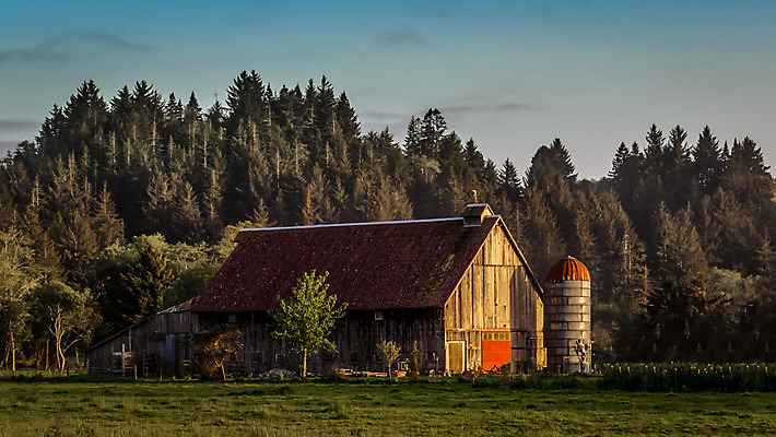 포토 JPG 해외이미지 외관 벽 백그라운드 밭 농업 건축양식 자연 하늘 바닥 주택 풍경 사람없음 야외 내부 건물 목재 여름 빛 농가 농장 문 목장 방 수확 골동품 시골 땅 버리기 복고 캘리포니아 헛간 외양간 그런지 깨짐 밭일 썩음 옛날 판잣집 해외202004 해외포토 나무 건축물 계절 건축 산업 컨셉 재료 모션 미국 생태계 저장고 파일형식 이미지허브