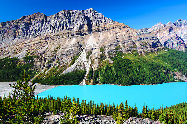 포토 JPG 해외이미지 식물 공원 호수 여행 캐나다 자연 산 풍경 사람없음 야외 파란색 환경 활발 소나무 황무지 숲 땅 언덕 호기심 장면 지역 침엽수 서식지 내추럴 감탄 강렬 밴프 삼림지대 생태학 앨버타 전국 터키석 해외202004 해외포토 나무 공공시설 교육 감정 컬러 컨셉 북아메리카 보석 생태계 파일형식 이미지허브
