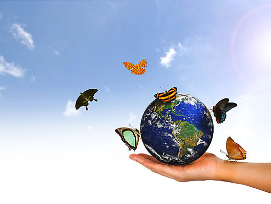 포토 JPG 해외이미지 손 여자 행복 지구 나비 백그라운드 컨셉 지도 자연 하늘 날리기 사람 사람없음 빨간색 초록색 파란색 세계 글로벌 노란색 지구본 행성 신선 에코 내추럴 생태학 지리 해외202004 해외포토 교육 감정 컬러 곤충 모션 신체부위 우주 환경 생태계 파일형식 이미지허브