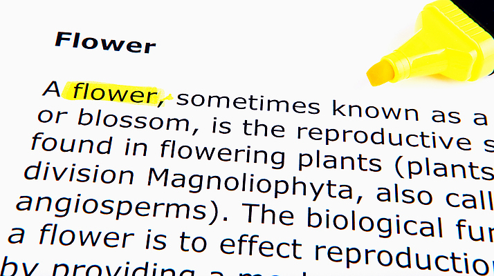 포토 JPG 해외이미지 교육 종이 컨셉 텍스트 교실 학교 표시 아이디어 기술 사람없음 책 단어 스터디 펜 디지털 가르침 끝 인쇄 심볼 교과서 문서 페이지 사전 형광펜 정의 지원 펠트 강조 해외202004 해외포토 문자 교재 학습 필기구 파일형식 천_직물 이미지허브