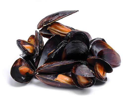 포토 JPG 해외이미지 음식 바다 백그라운드 다이어트 재료 조개 연체동물 건강 어류 요리 사람없음 식당 검은색 식사 저녁식사 기쁨 껍질 흰색 신선 오픈 고급 맛 화이트와인 먹기 해산물 준비 홍합 점심식사 고립 단백질 이국적 해외202004 해외포토 감정 컬러 컨셉 모션 어패류 무척추동물 상점 와인 수중동물 영양소 파일형식 이미지허브