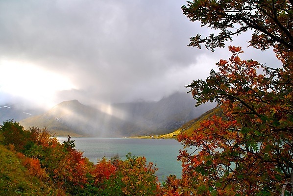 포토 JPG 해외이미지 전등 노르웨이 사람없음 빛 가을 해외202004 해외포토 계절 유럽 조명 파일형식 이미지허브