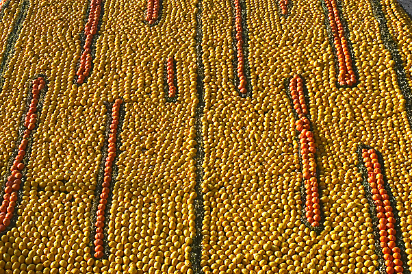 포토 JPG 해외이미지 전통 문화 오렌지 과일 미술 사람없음 장식 여행객 정원 축제 프랑스 연도 레몬 방문 애니메이션 국회 민화 해외202004 해외포토 유럽 문화예술 사람 그림 파일형식 이미지허브