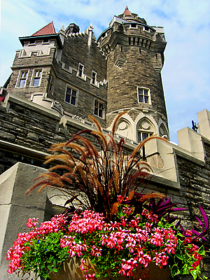 포토 JPG 해외이미지 구름 꽃 벽 캐나다 건축양식 창문 유리 하늘 주택 사람없음 건물 빨간색 파란색 문 계단 탑 발코니 바위 역사 냄비 타일 토론토 단계 계약자 석고 콘크리트 해외202004 해외포토 자연요소 식물 건축물 건축 컬러 북아메리카 재질 돌_바위 솥 계약 파일형식 이미지허브