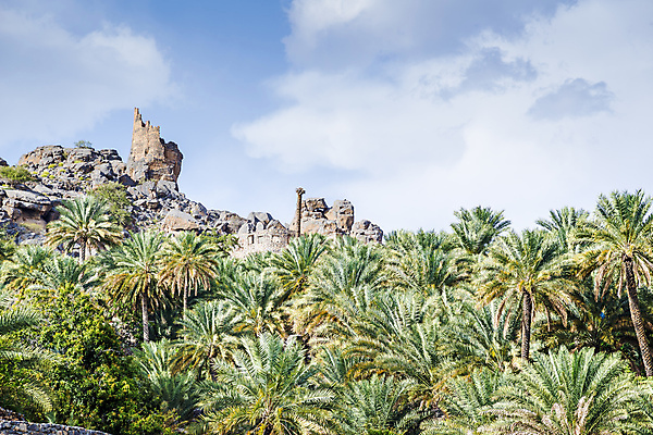 포토 JPG 해외이미지 나무 전통 문화 여행 하늘 휴가 산 주택 손바닥 풍경 사람없음 가로 파란색 햇빛 마을 만 중앙 작음 아라비아 타운 동쪽 구성 서쪽 오아시스 해외202004 해외포토 식물 손 컬러 건물 태양 도시 크기 방향 파일형식 이미지허브