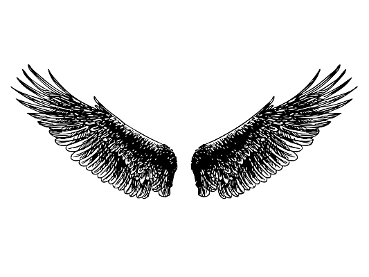 포토 JPG 해외이미지 동물 디자인 날개 일러스트 교통시설 조류 동화 천사 요정 미술 사람없음 그래픽 장식 평화 펼침 자유 덮개 쌍 심볼 깃털 속도 그림 비둘기 클립 독수리 공상 천국 휘장 고딕 엘리먼트 해외202004 해외포토 교통 컨셉 모션 문화예술 뚜껑 시설 파일형식 이미지허브