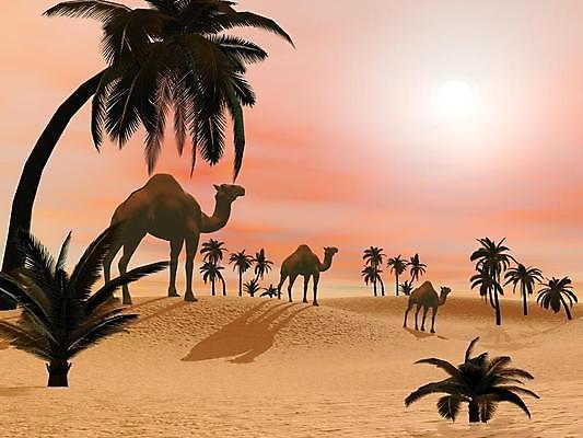 포토 JPG 해외이미지 나무 식물 모래 분홍색 여행 일러스트 아프리카 자연 하늘 휴가 이집트 손바닥 풍경 사람없음 그래픽 여름 3D 일출 디지털 일몰 사막 뜨거움 저녁 모래언덕 사파리 언덕 만들기 낙타 사하라 해외202004 해외포토 손 계절 나라 컬러 포유류 모션 노을 야간 디지털합성 생태계 파일형식 이미지허브