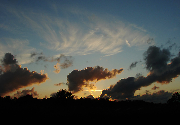 포토 JPG 해외이미지 나무 구름 실루엣 자연 하늘 사람없음 여름 햇빛 반사 힘 황혼 일몰 해외202004 해외포토 자연요소 식물 계절 촬영기법 태양 노을 생태계 파일형식 이미지허브
